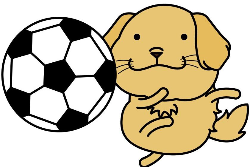 サッカー犬（ゴールデンレトリバー）