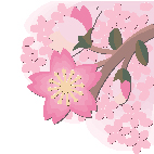 桜（イラスト）